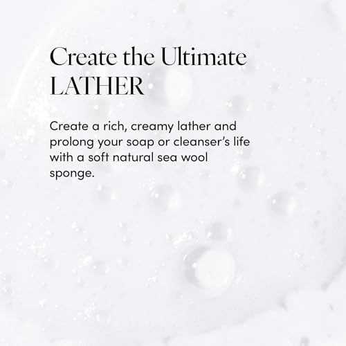 LATHER - Natural Sea Wool Sponge, 5-6" - Organic Exfoliating Body Scrubber - Soft, Gentle Cleansing - Hypoallergenic - All Skin Types - Florida Natural Loofah Sponge - Cruelty Free - Beauty & Skincare 8oz