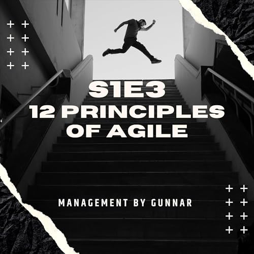 S1E3 Agile principles