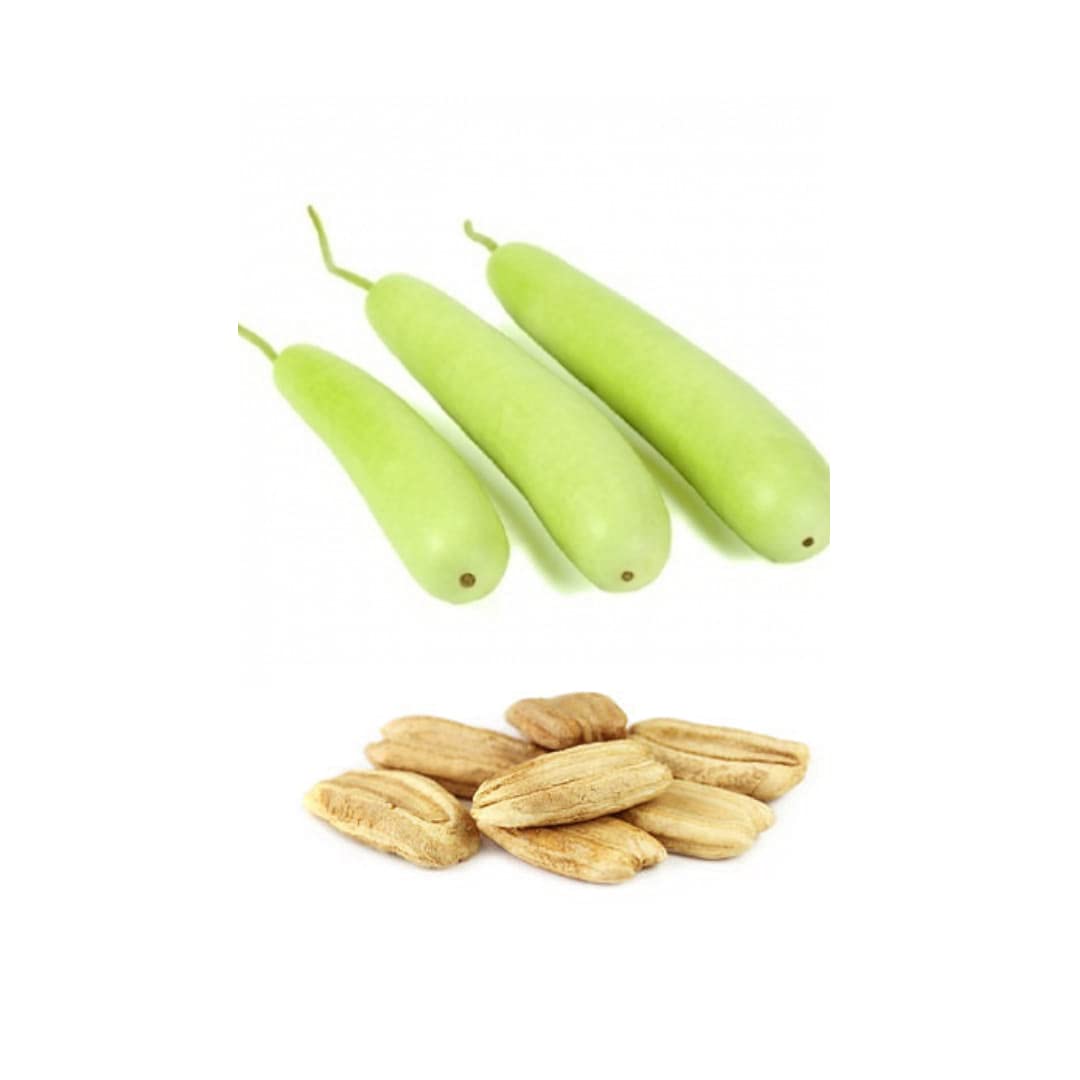 Navya Agriallied Desi Bottle Gourd Lauki (10 Quantity) Vegetable Seeds for Home and Kitchen Garden (B099XC8J8R) Amazon Price History, Amazon Price Tracker