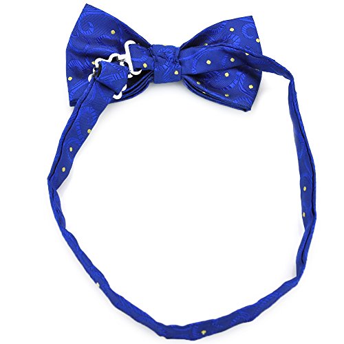 PenSee - Set da uomo formale con papillon