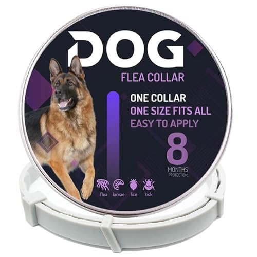 Collana Antiparassitaria CQM Per Cani - Protezione Fino A 4 Mesi | Repellente Naturale Per Insetti | Lunghezza 60 Cm - Foto 12