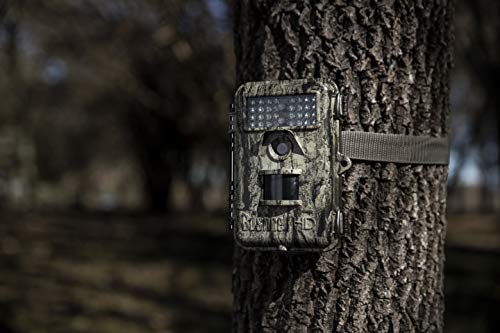 Bushnell Trophy Cam 20MP Trail Camera