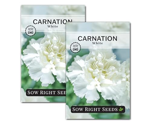 Sow Right Seeds - White Carnation Seeds for Planting - Grow Beautiful Dianthus Blooms in Your Garden - Perfect for Growing Outdoors or Using for Bouquets - Non-GMO Heirloom Vibrant Garden Flowers (2)