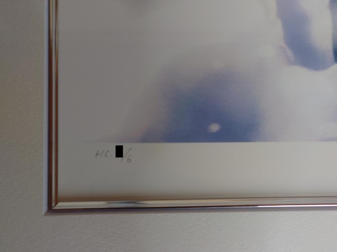 Amazon.co.jp: 超 サイン入り緋色雪「雪中椿」版画 アート : おもちゃ