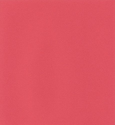 エスケント ケント紙 スターカラー 八切 バーミリオン 100枚 5752008