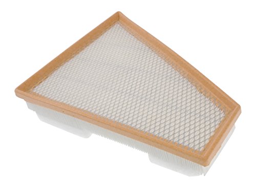 Filtro De Aire Blue Print ADA102241 - Cartucho Filtrante, Medidas 258x309x59.5 Mm