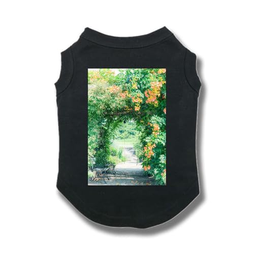 hbOEFA LbgEFA  ubN L  L m[X[u Ȃ n 킢 t ̕ h ^Ngbv ʋC p sVc ₩ UVJbg Eѕی XL ^ z іh~ 