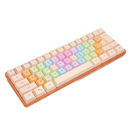 41OHJemGc0L.jpg