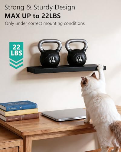 Image of WALI Floating Shelves for Wall, 1 Tier Bathroom Storage Shelf Over Toilet, for Bedroom Bookshelf, Living Room Decor, Kitchen, Nursery, Laundry, Soundbar Floating Shelf Mount Under TV (CS101L), Black