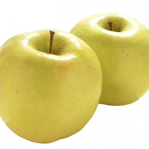 XY gL  10kg 󂠂Eƒp TCY召Cb󏭕i xĂ߂ hV̓EƒpEMtgEt[c ʕ Abv