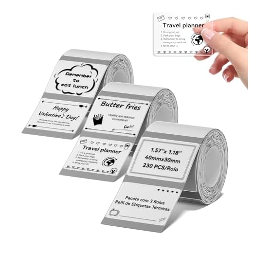 3 Rolos de Etiquetas AdesivasTransparência para NIIMBOT B1 B21 - Etiquetas Térmicas 40x30mm - Ideal para Organização de Alimentos, Casa, Escritório e Escola