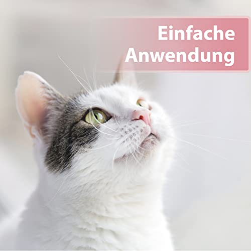 Felisept Augenpflege-Pads für Katzen 100 Stück - Mit Aloe Vera Extrakt - Fingerlinge zur Reinigung & Pflege des Augenumfelds - Katzen Pflege gegen Schmutz & Tränenstein - Augenreiniger Katze