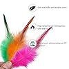 Feathers for Crafting,240pcs 5-7inch Colorful Craft Rooster Feathers,Saddle Hackle Feather,Bulk Feathers for Wedding Home Party,Dream Catcher Supplies and DIY Crafts #2