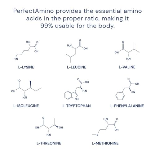 Image of BodyHealth PerfectAmino Powder - BCAA and EAA Powder for Pre and Post Workout - Amino Acid Energy Drink for Men and Women to Support Lean Muscle and Recovery - Strawberry - 60 Servings