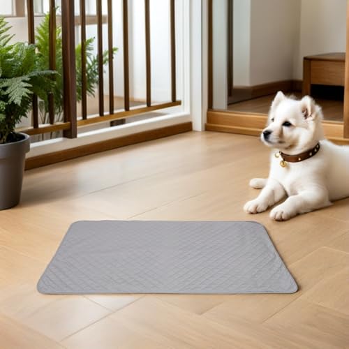 Tapis de couchage imperméable pour chien et couverture animaux