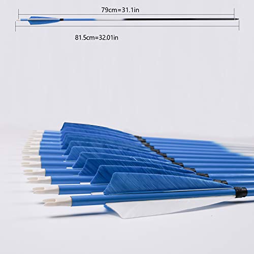 Feather Arrows 31" Archery Hunting Arrows Carbon Targeting Practice Feather Fletching Arrows for Recurve Bows and Longbow with Removable Tips