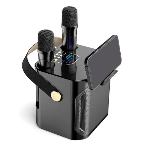 Enceinte karaoké portable 360 pour animer vos soirées en famille avec double micro noir