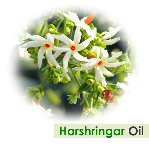 Image of Crysalis Harshringar (Nyctanthes Arbor-Tristis) | Pure & Natural Undiluted Carrier Oil Organic Standard /Cold Pressed Oil For Glowing Skin, Healthy Hair, Nourished Face -10Ml With Dropper