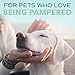 TropiClean SPA Fresh Dog Cologne Spray Long Lasting | Cucumber Scented Dog Deodorizing Spray | Naturally Derived Salon Grade Ingredients | Made in the USA | 8oz