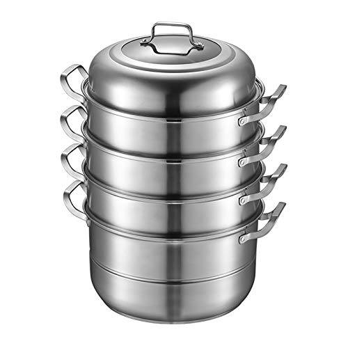 QuatoLuilo Cocina a vapor de acero inoxidable 304 con fondo compuesto de 3 capas, capacidad de 2,38 galones, ideal para cocinar sopa al vapor y cocinar, fácil de manejar y duradera para un uso a largo