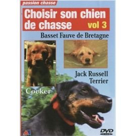 Chiens de chasse - Basset fauve de Bretagne, Jack Russel Terrier