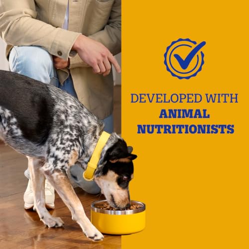 Image of Pedigree Complete Nutrition Dry Dog Food, Chicken & Vegetable, 3.5 lb | Nutrient boost, prebiotic fibers, 36 vitamins & minerals, Omega 6 & Zinc, natural flavors, supports skin & coat