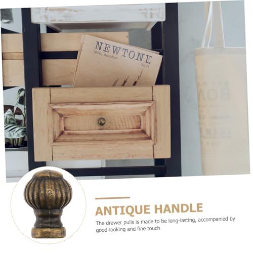 ELAYARD 6 AeB[NuYLrlbg ی^Ԗ͗lVOz[omu Lb`ƋhAmu [h[uvm