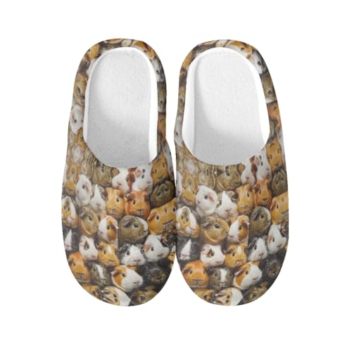 Chaussons cochon d'inde pour homme et femme avec semelle antidérapante taille XXXL