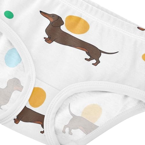 Brown Dachshund Dogs Spots White Panties for Girl Toddlers Underwear Floral Cotton Fun Print Briefs Kids Undies 2t4