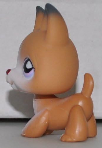 German Shephard #112 (Shiba Inu) (Tan, White Face, Purple Eyed) Littlest Pet Shop (Retired) Collector Toy - LPS Collectible Replacement Single Figure - Loose (OOP Out of Package & Print) image 3