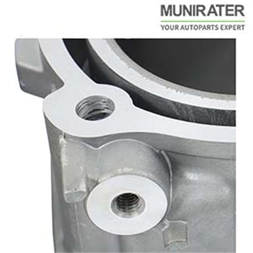 Cilindro delantero trasero para solucionar pérdida de potencia en motor 1000 7