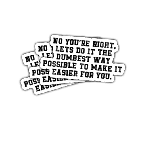 3Pcs No You're Right Lets Do It The Dumbest Way Possible To Make It Easier for You Sticker Joke Let's Do It The Dumbest Way Stickers Sarcastic Stupid Car Decal for Laptop Bottle Phone Case 5'