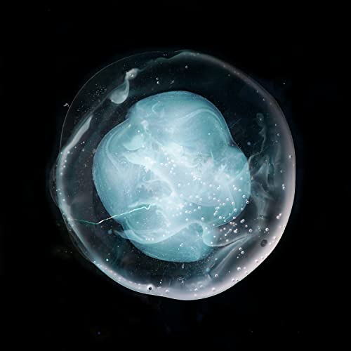 A Winged Victory for the Sullen feat. Adam Wiltzie & Dustin O'Halloran