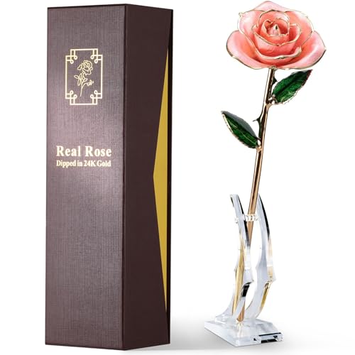 ECO SPACE 24K Gold Dipped Real Rose Gift Pink
