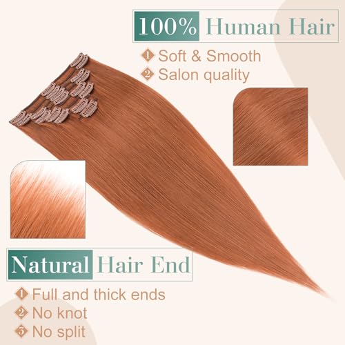Image of Benehair 14inch 8pcs Clip in Hair Extensions Real Human Hair Clip on Hair Extensions Double Weft Remy Human Hair Extensions Soft Silky Straight Natural Hair Extensions Dark Auburn