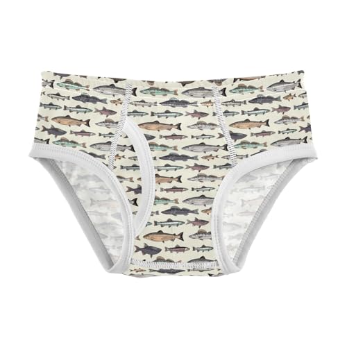 Boys' Exclusive Briefs Toddler Underwear 95% Combed Cotton Boxerbriefs 2T School Of Fish 104