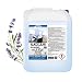 Produktbild Lorito Alkoclean Lavendel Alkoholreiniger, 10 Liter, Bodenreiniger, Boden Reinigungsmittel, Grundreiniger für Naturstein, Hartböden, Fliesen, Keramik, Kunststoff, PVC