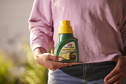 Image of Ortho Tree & Shrub Fruit Tree Spray Concentrate - Combination Bug Killer and Fungicide for Plants, Pest Control Concentrate, 16 fl. oz.