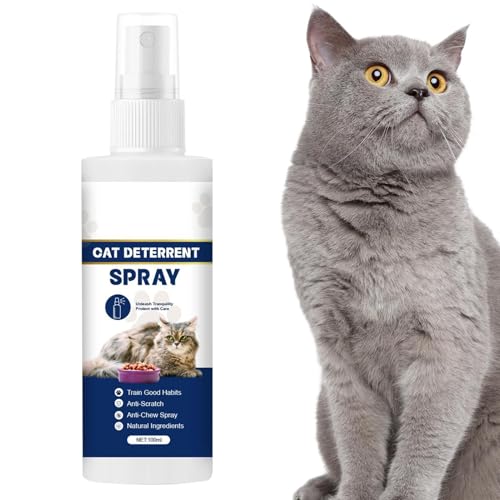 A`XNb`LbgXv[ALXNb`veN^[Xv[, 100ml̉ƋveN^[A`XNb`LbgXv[, g[jO\[VxbhAJ[ybgA\t@̉Oybg̗