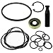 BIGLKNM Reseal Kit for GM R4 AC Compressor Includes Seal O-Ring Shaft Seal Installer Tool