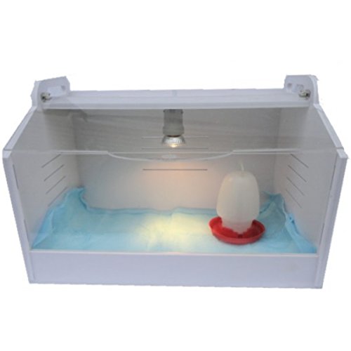 Produktbild von BTV Kükenheim – Wärmeplatte Mit Dimmer, Birne & Tränke – 48x30x33 Cm – Für 1–12 Küken (Aufzuchtbox)