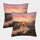 LWXWHR Funda De Cojín con Spaniel Bretón Juego De 2, Poliéster Suave Funda Almohadón Hierba Orilla Río Modernas Decorativas para Sillón, Sala De Estar 40x40cm