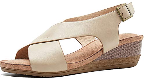 [Patypeety] OfBG[^[ T_ fB[X  4cmq[ T_ 傫TCY EFbW\[ NXxg EFbWT_ ₷ TCY (ǐF,25.5 cm)