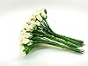 TH 100 Tiny. Ivory Color Rose Buds Mulberry Paper Flower Craft Handmade Wedding Size 0.17" Rose Paper Flower Scrapbook for so Many Card Craft Projects #4