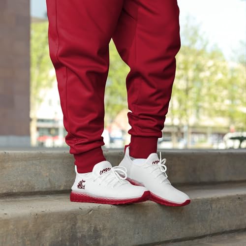 Image of FOCO NCAA Mens NCAA College Team Logo Athletic Shoes Sneakers