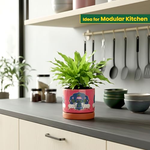 Image of Urban Plant KamDhenu 3D Terracotta Pot with Saucer (4.7 Inch) | Hand-Painted Cow & Lotus Design Planter | Decorative Indoor Plant Pot with Drainage Hole | Premium Clay Planter for Home & Office Decor