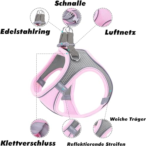 Hundegeschirr Kleine Hunde,Welpengeschirr Katzengeschirr Hunde Geschirr Leuchtend mit Leine,Curli Hundegeschirr Geschirr Hund Welpen Zubehör(Rosa,M)