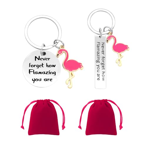 NyxSeat Lot de 2 porte-clés d'inspiration oiseau accrocheur, 2 sangles de rangement, porte-clés flamant rose, accessoires de porte-clés personnalisés,...