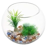 Aquarium en verre transparent : créez un magnifique décor pour votre maison, votre magasin, une fête, etc., grâce à cet élégant aquarium décoratif de bureau