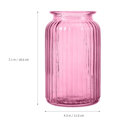 Jarrón de cristal y función para hidroponía decorativo rosa 3